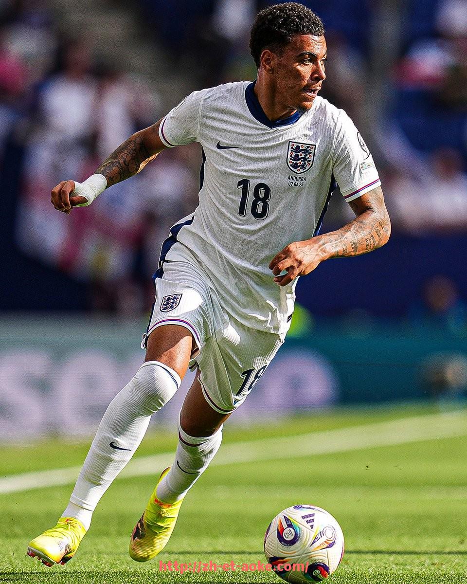 澳客足彩-世俱杯主办国家介绍及赛事举办背景报道