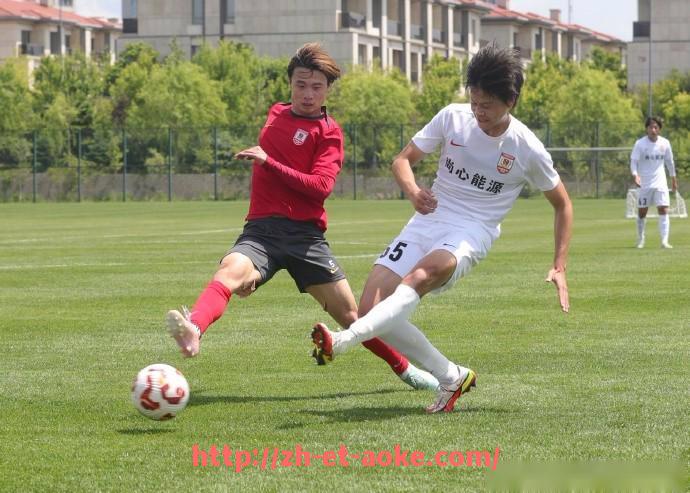 澳客足彩-法甲球员在比赛中承担的不同场上职责解析