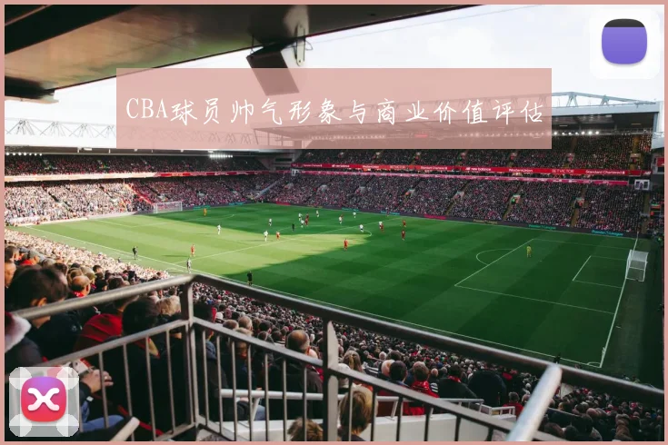 CBA球员帅气形象与商业价值评估